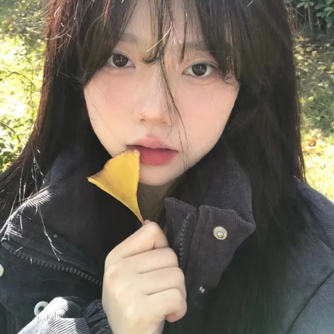 相爱的停损点